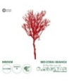 GloboStar® Artificial Garden RED CORAL BRANCH 21468 Τεχνητό Διακοσμητικό Κλαδί Κόκκινο Koράλι Y35cm